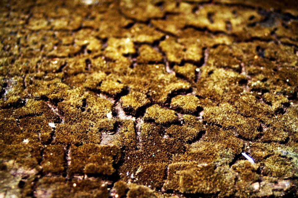 Close -up Environment