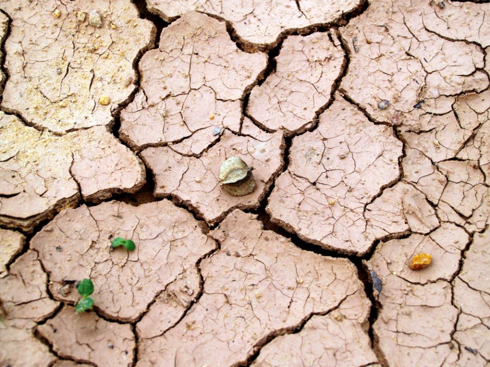 Arid Barren Clay photo