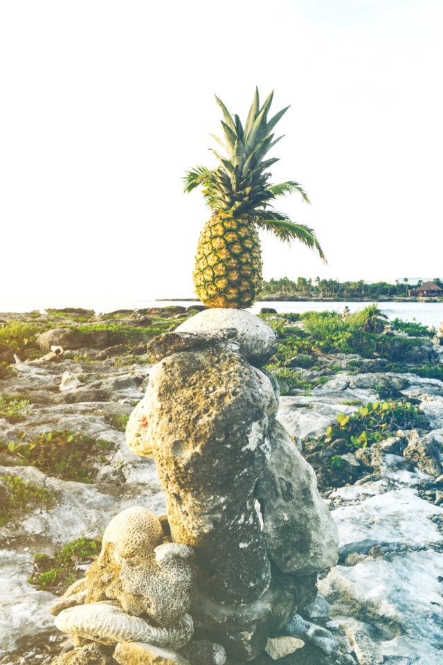Balance Fruit Landscape