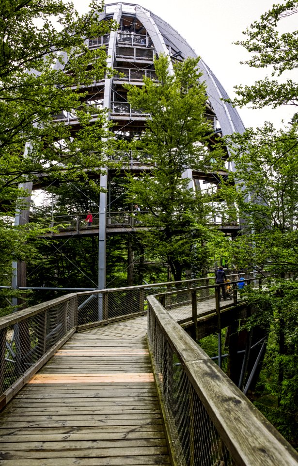 Architecture Bridge Building