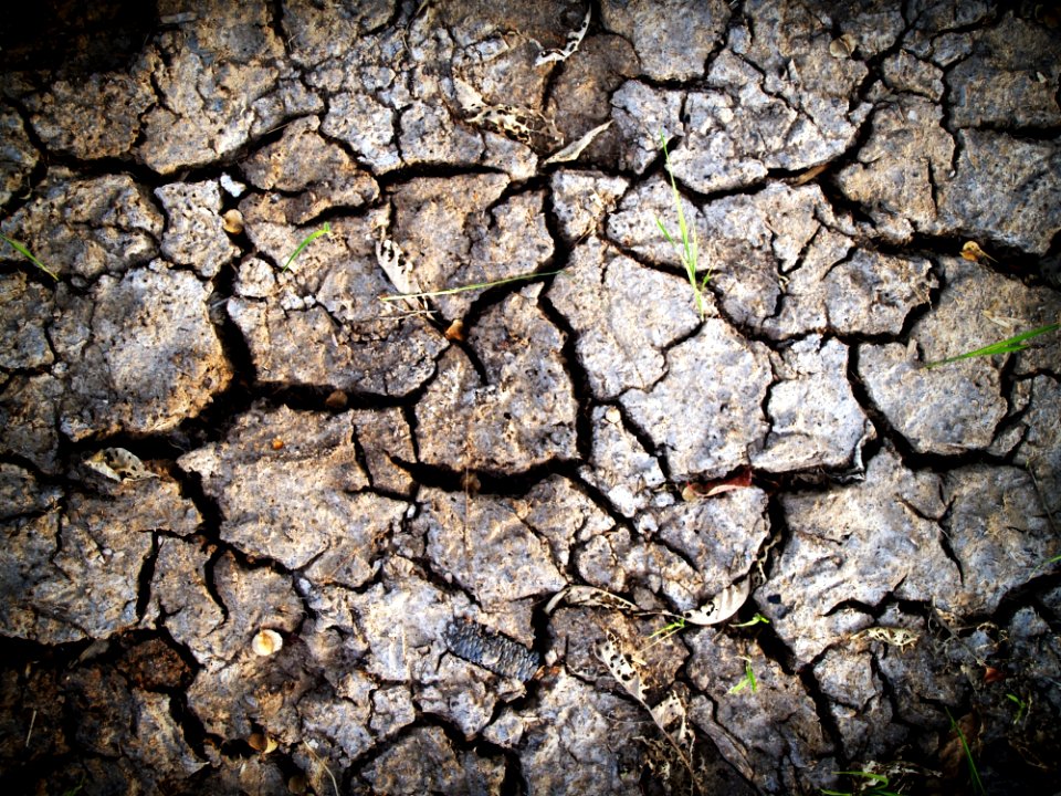 Clay Close-up Cracks