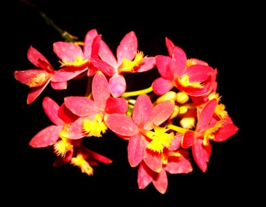Beautiful Black Background