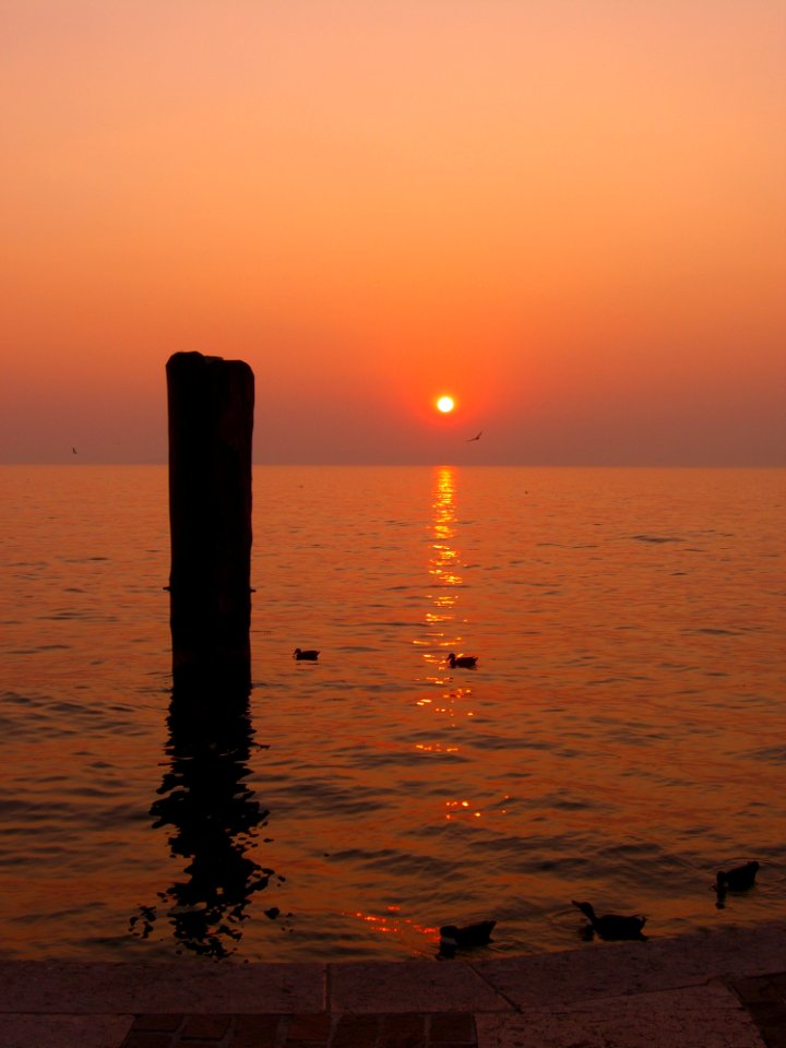 Duck On Body Of Water Silhouette Of Black Pillar During Golden Hour photo