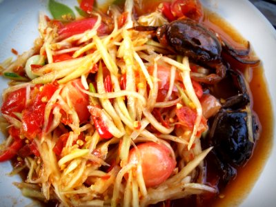 Asia Asian Cabbage