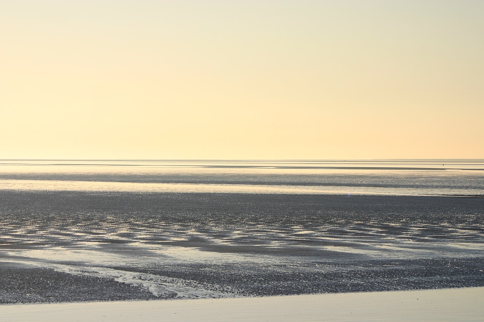 Beach ameland island