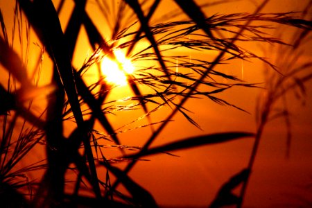 Abstract Back Light