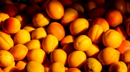 Agriculture Apricot Color