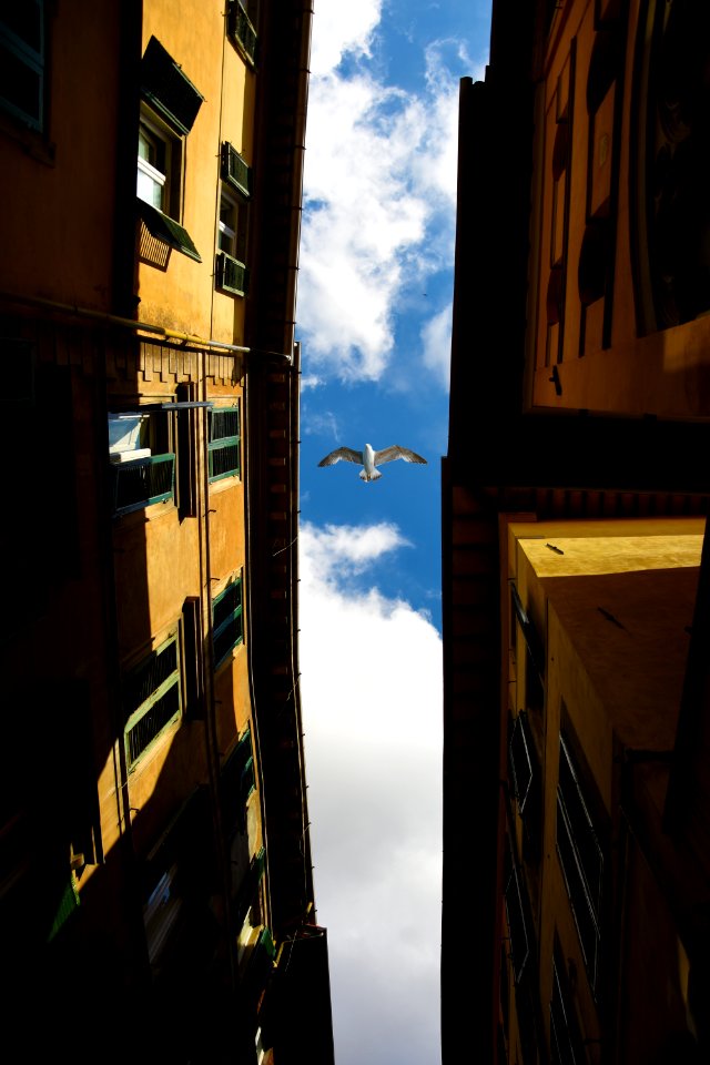 Air Apartment Architecture