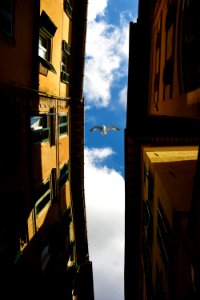 Air Apartment Architecture