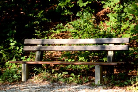 Brown Wooden Outdoor Bench During Day Time photo