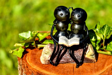 Shallow Focus Photography Of Couple Ants Holding Book Figurine photo