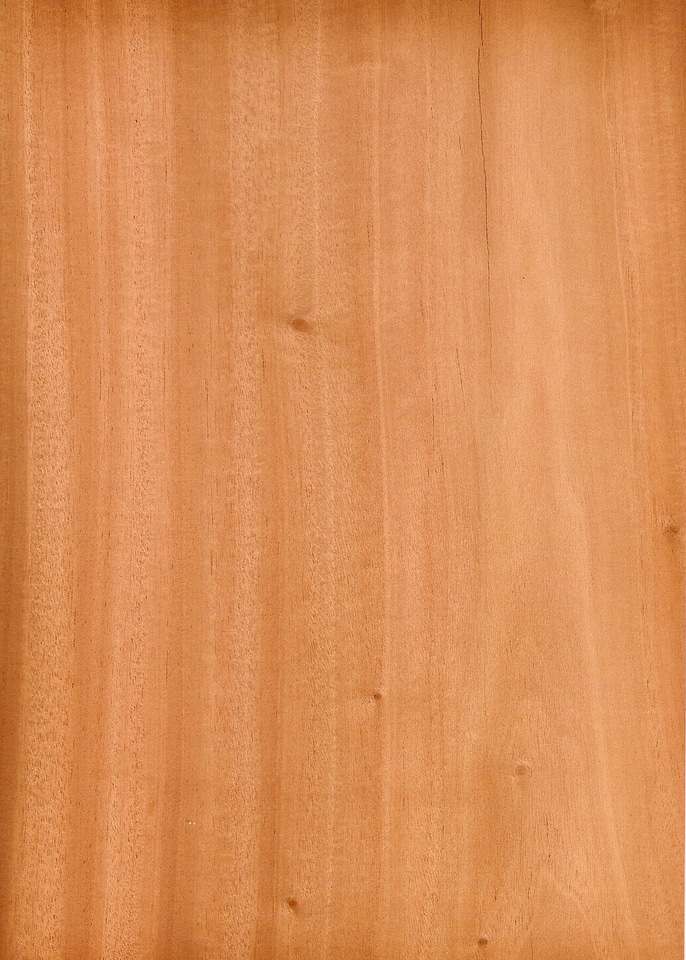 Wood mahogany texture