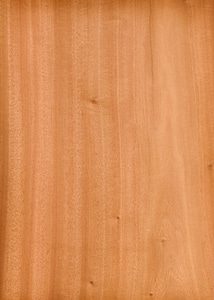 Wood mahogany texture