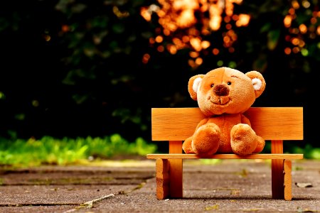 Brown Teddy Bear On Brown Wooden Bench Outside