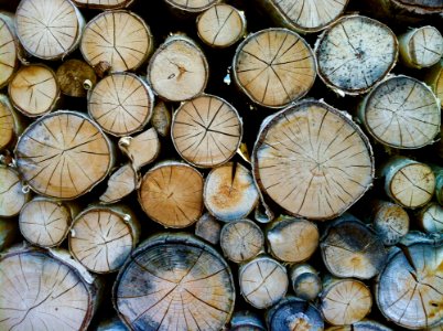 Bark Chopped Circle