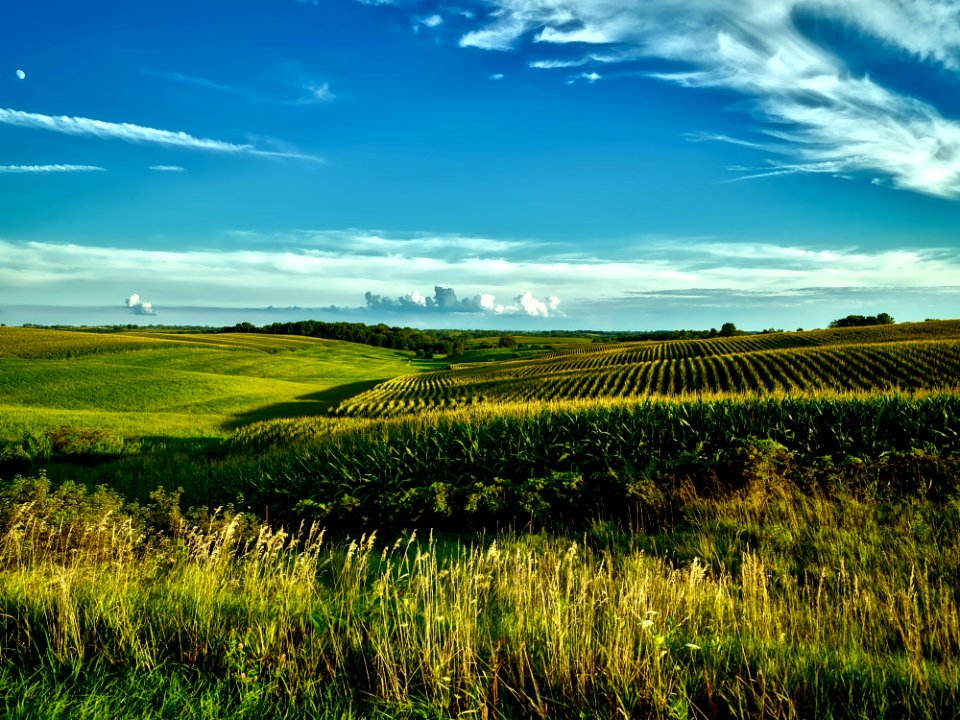 Green Grass Field During Day Time photo