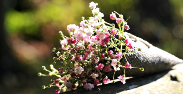 Pink Flower Bouquet photo