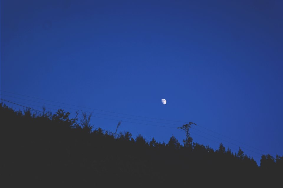 Backlit Black Blue