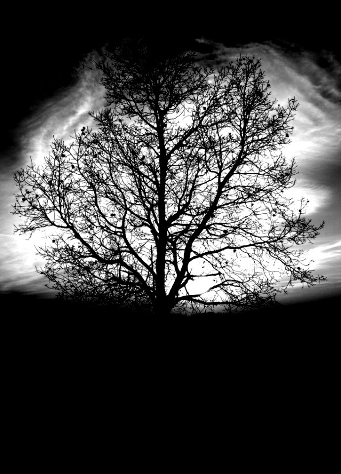 Black And White