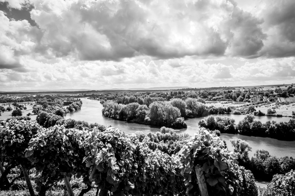 Black-and-white Clouds Environment photo