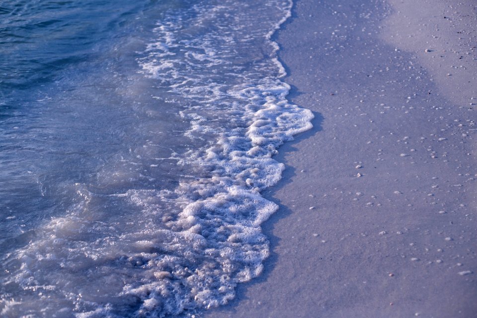 Beach Daylight Nature