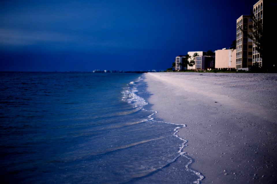 Beach Beauty Blue photo