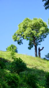 Blue Sky Bright photo