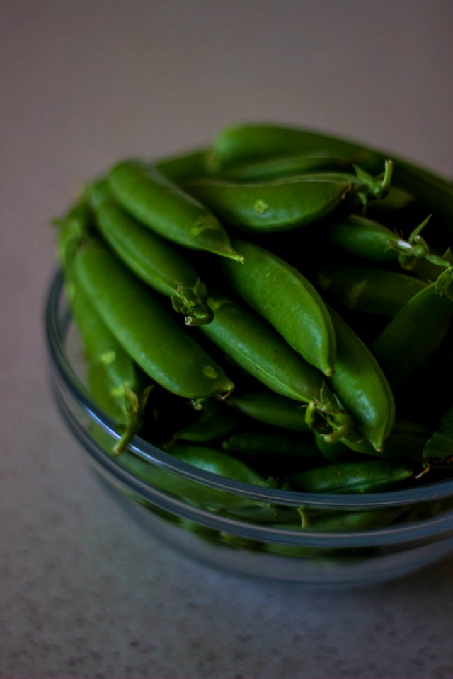 Beans Blur Bowl