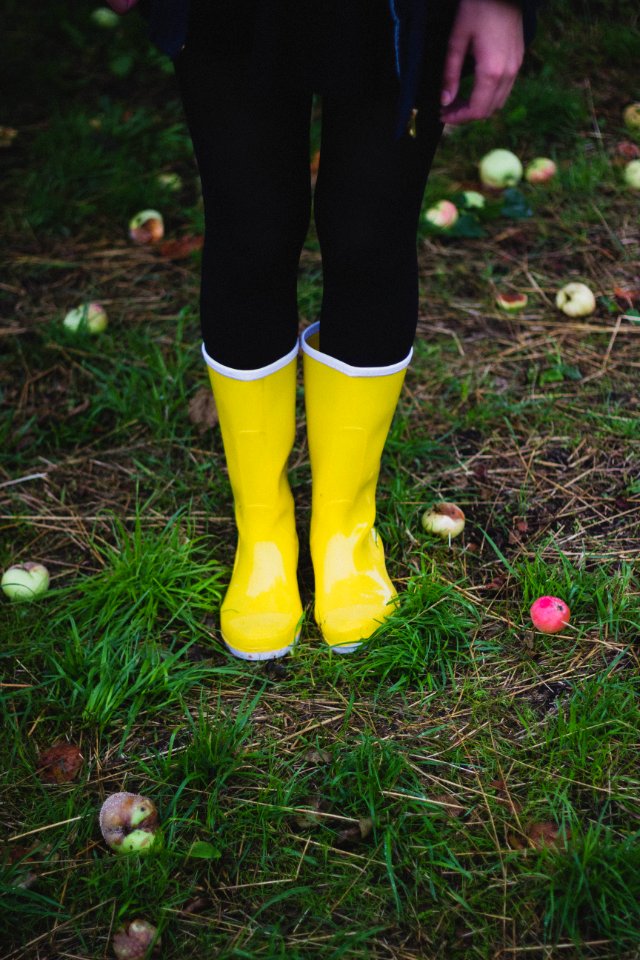 Apples Blur Colors