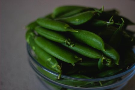 Beans Bowl Close-up