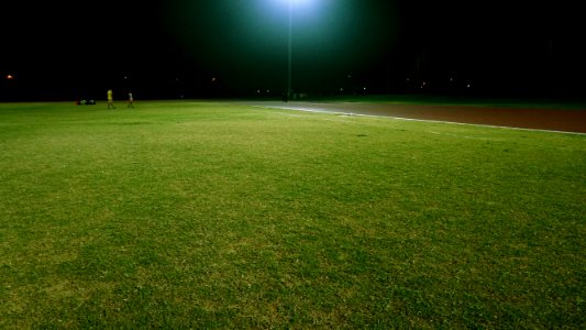 Field Grass Grassland