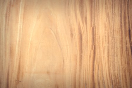 Board Brown Dried