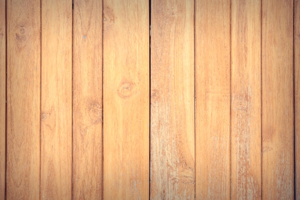 Brown Design Dried
