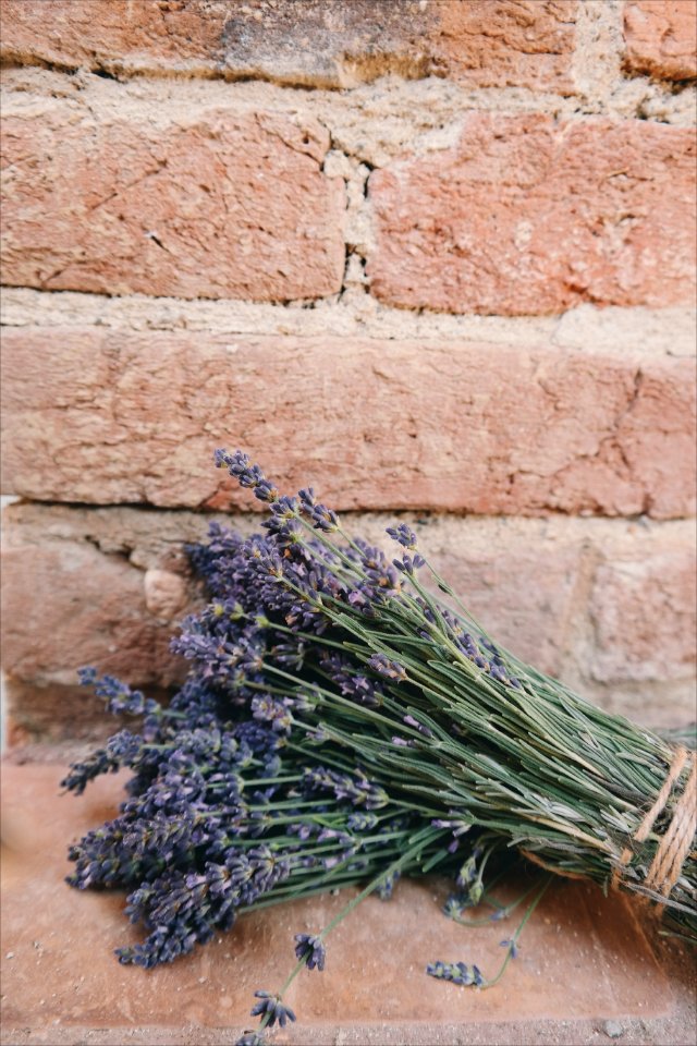 Beautiful Flowers Bricks