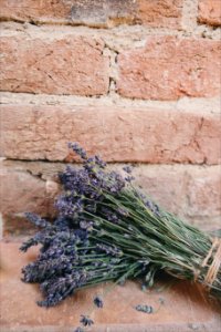 Beautiful Flowers Bricks