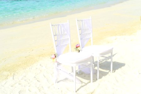 Beach Chairs Flowers photo
