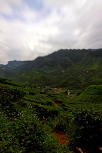 Agriculture Clouds Cropland