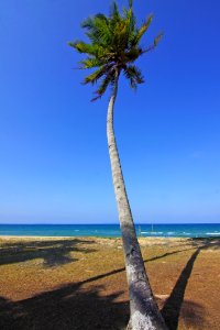 Beach Blue Daylight
