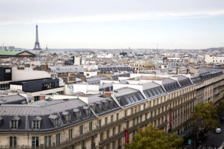 Top View Of Paris City And Eiffel Tower