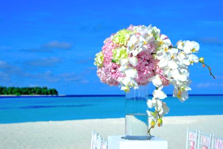 Beach Bouquet Bright photo