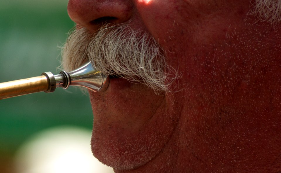 Person Playing A Instrument