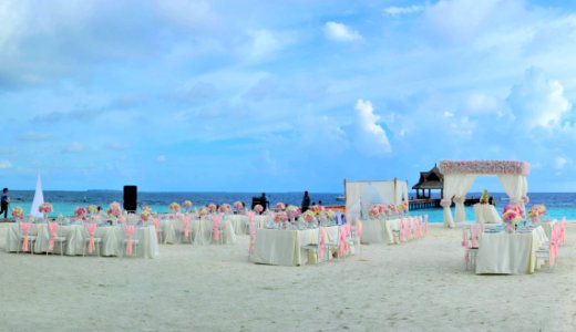 Beach Wedding Chairs photo