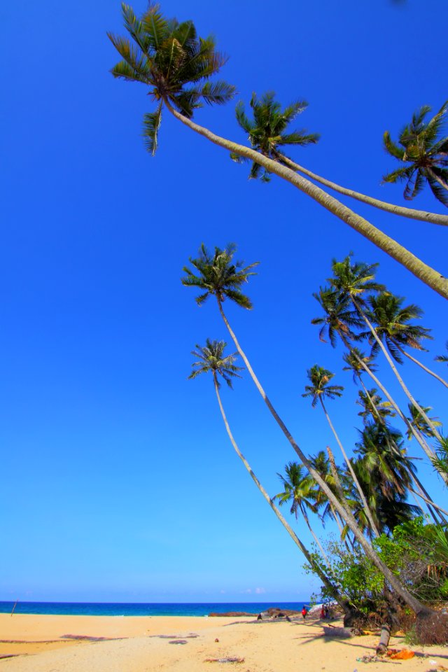 Beach Daylight Idyllic