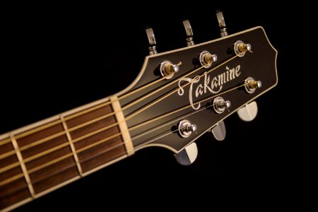 Brown And Black Takamine Guitar Headstock photo