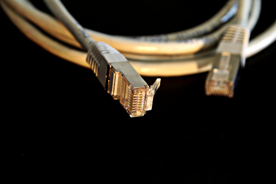 Closeup Photography Of Lan Cable