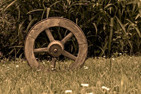 Brown Wooden Wheel On Top Of Green Grass photo