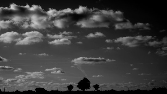 Silhouette Of Trees Under Nimbus Clouds During Daytime photo