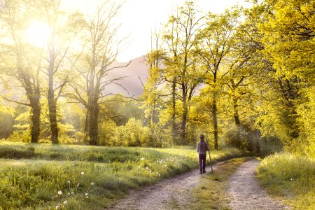 Man Walking In The Forest
