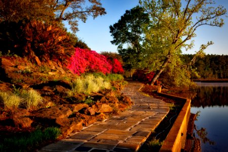 Empty Brown Pathway