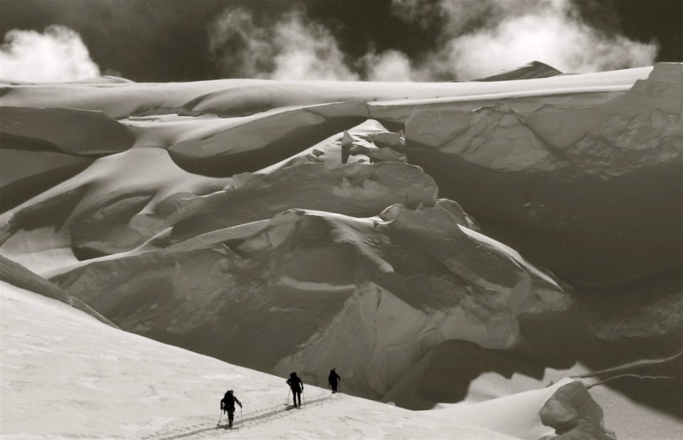 Person Holding Stick In Grayscale Photography